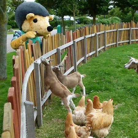 Campingpark De Bongerd Деревянный коттедж